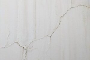 Fissures ramifiées dans l'enduit d'un mur intérieur
